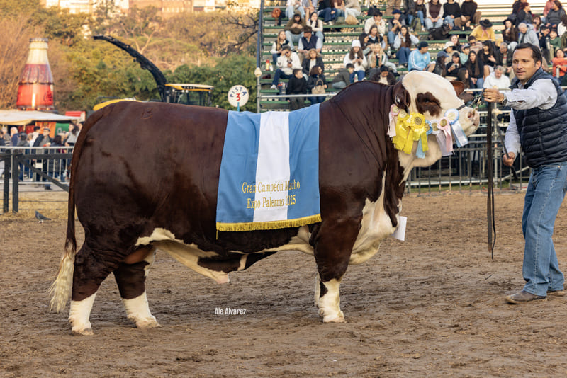 GANAGRIN E410 MAGO W078 CHE RUBICHA TE