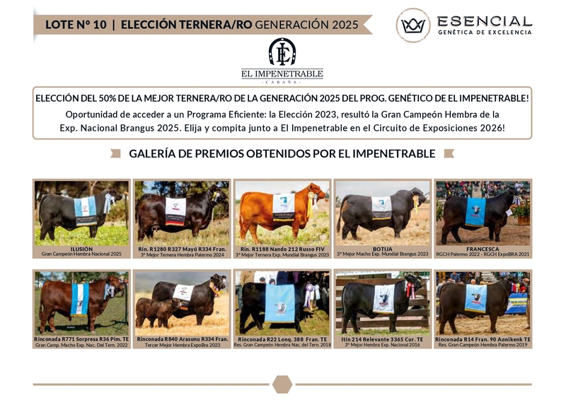 ELECCION TERNERO/A EL IMPENETRABLE 2025