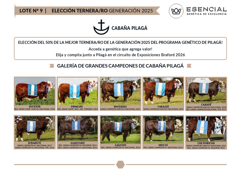 ELECCION TERNERO/A PILAGA 2025