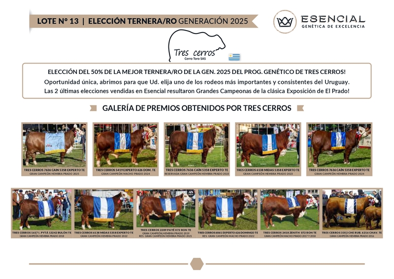 ELECCION TERNERO/A TRES CERRO 2025