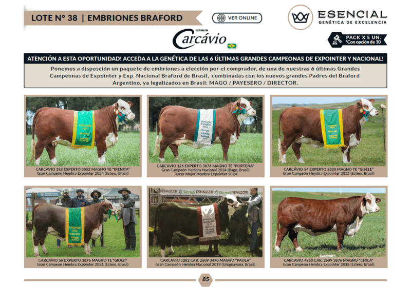 EMBRIONES BRAFORD GRANDES CAMPEONAS EXPOINTER Y NACIONAL (BR)