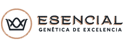 Esencial 2023
